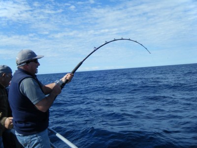 CORRICO NO MAR