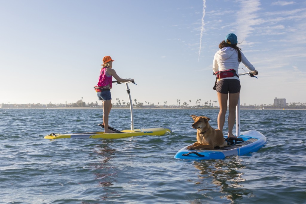 Eclipse-action-girls-dog-backs-1622-full_jpg_1600x1600__generated