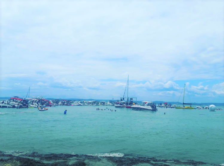 Marina Boat Day reúne navegadores para grande festa na ilha de Bimbarras