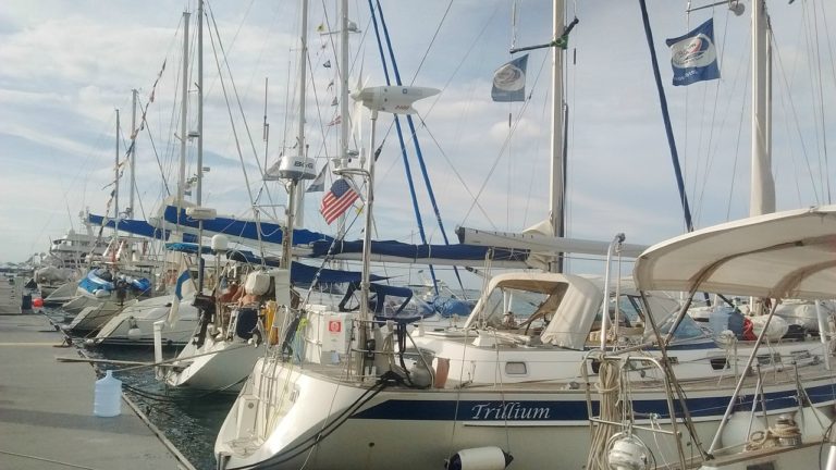 Bahia Marina