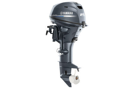 YAMAHA F25