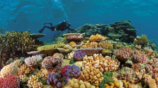 Barreira-de-corais-australiana-boatshopping-1