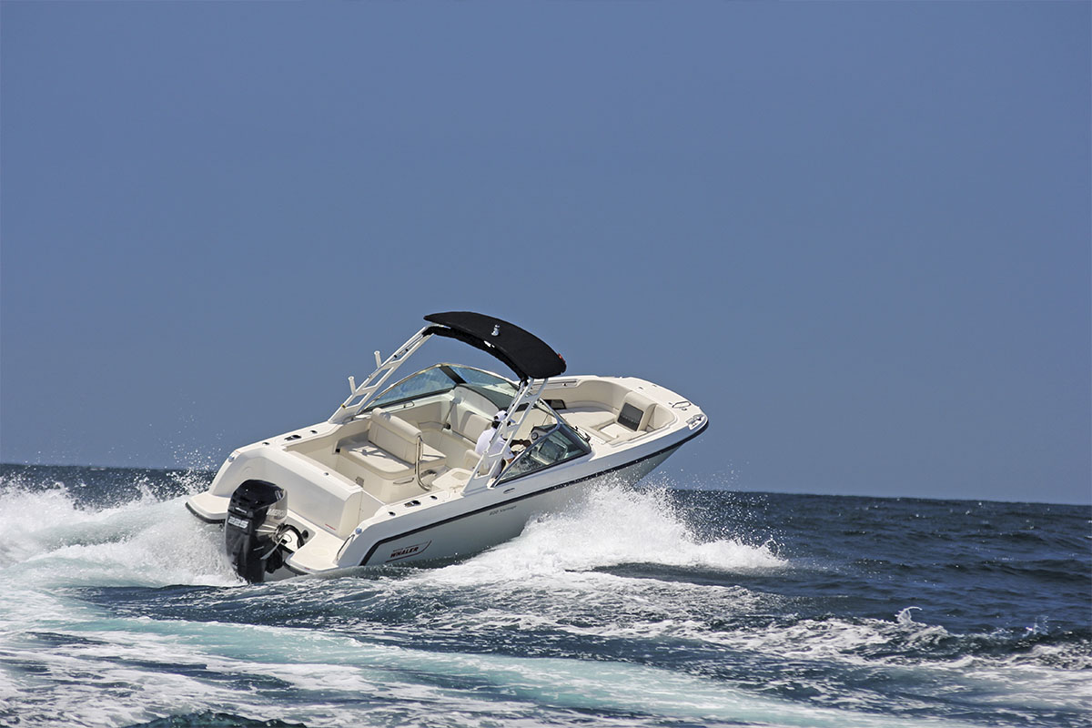 Boat-Teste-Boston-Whaler-230-boatshopping