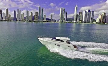 Linha completa top line yacht - boat shopping 4