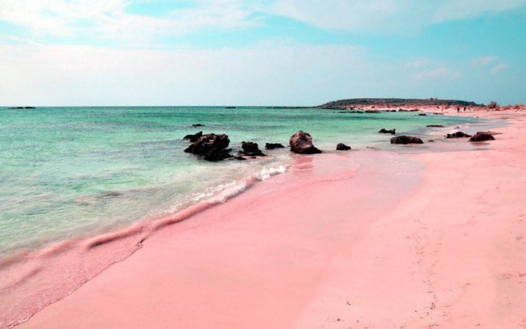 Bahamas Pink Sand Beach - boat shopping