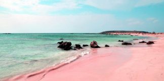 Bahamas Pink Sand Beach - boat shopping