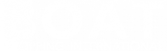 Logo Boat Shopping International – Footer 2
