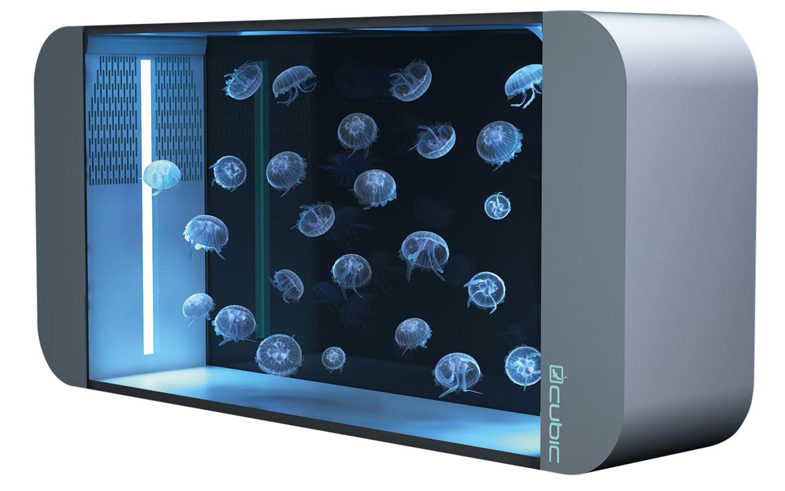 tecnologia-jellyfish tank-boatshopping