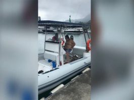 Flexboat-adaoptado-boatshopping