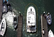 Raymarine DockSense - boat shopping 3
