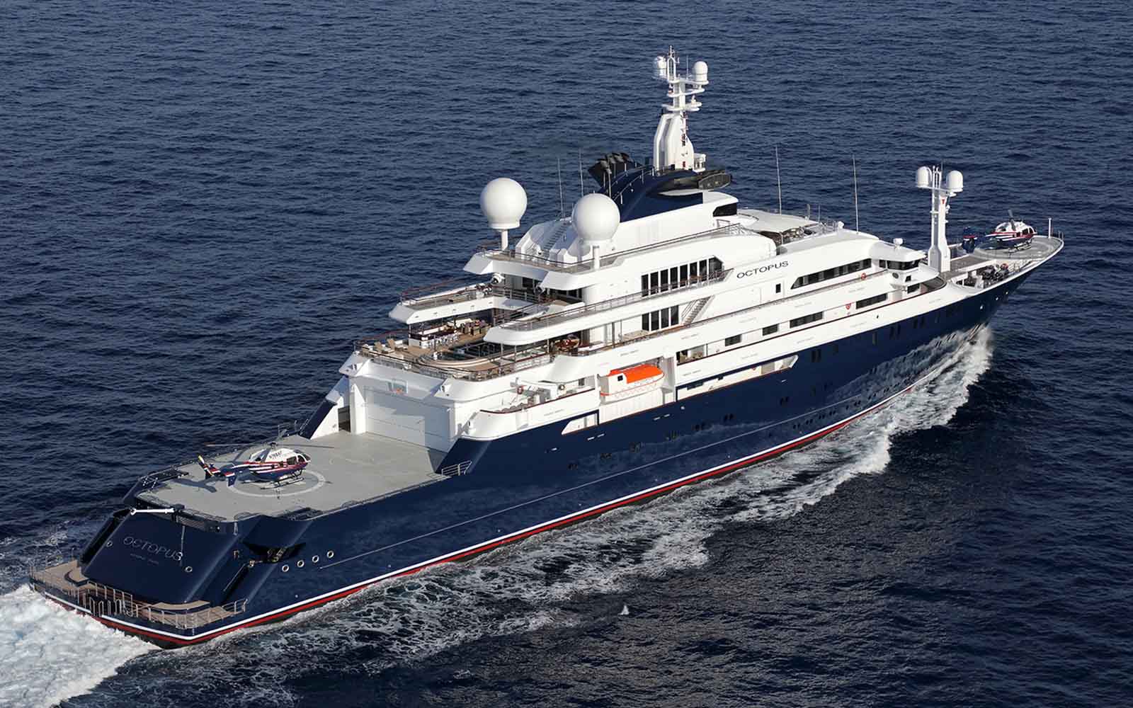 Superiate Octopus - boat shopping