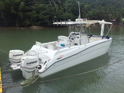 Waicat – Boat shopping