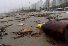 Dia-do-meio-ambiente-a-tribuna-boat-shopping