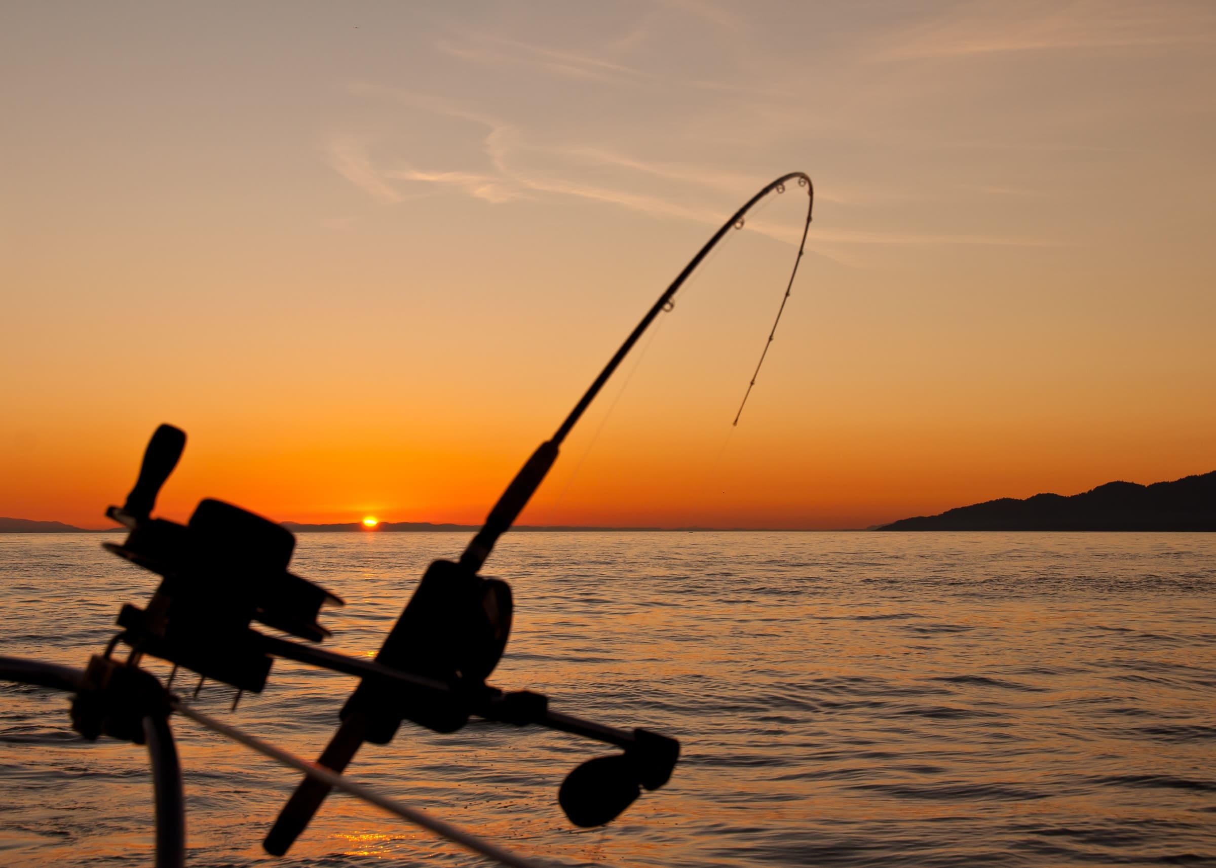 Pesca oceânica e lazer fishing raptor - boat shopping