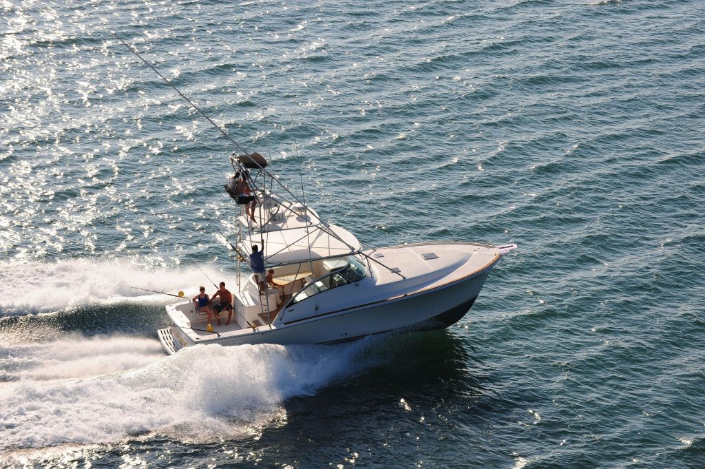 Pesca oceânica e lazer fishing raptor - boat shopping