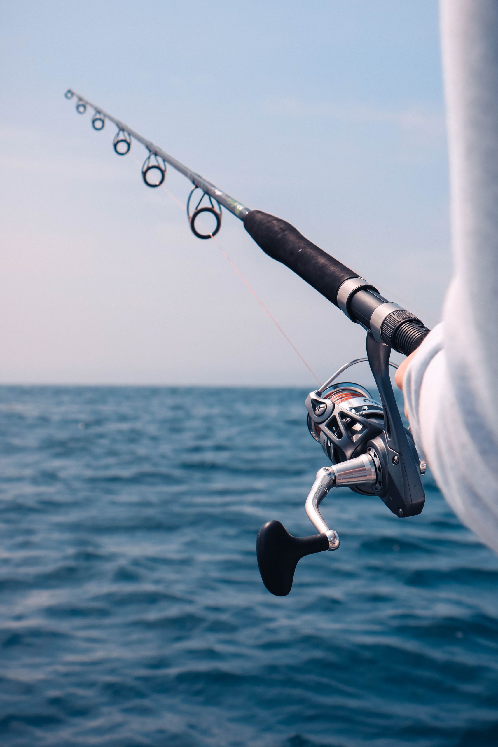 Pesca oceânica e lazer fishing raptor - boat shopping