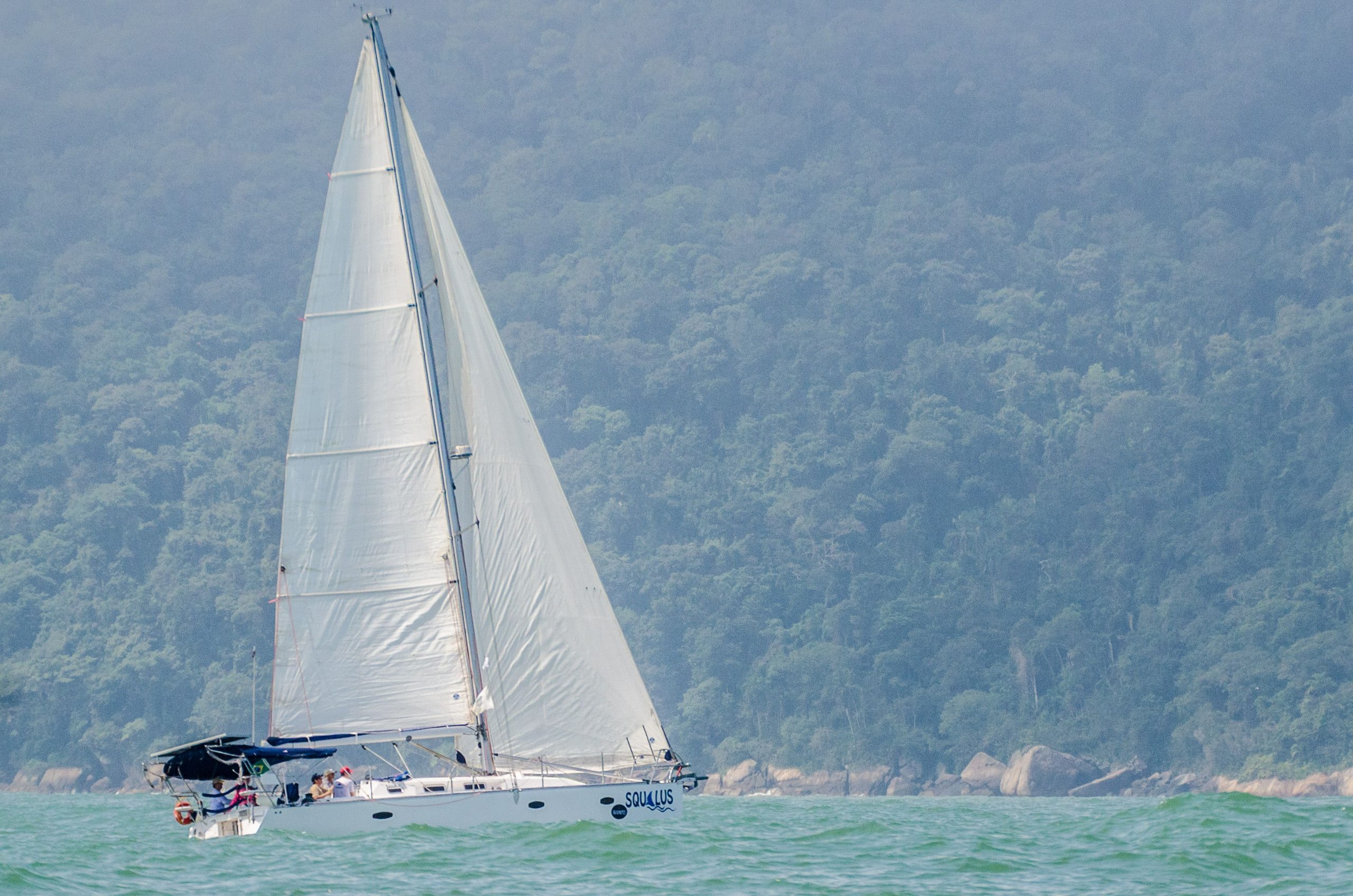 Iate Clube de Santos Regata Ilha dos Arvoredos 2019 (Divulgação Balaio de Ideias) - boat shopping