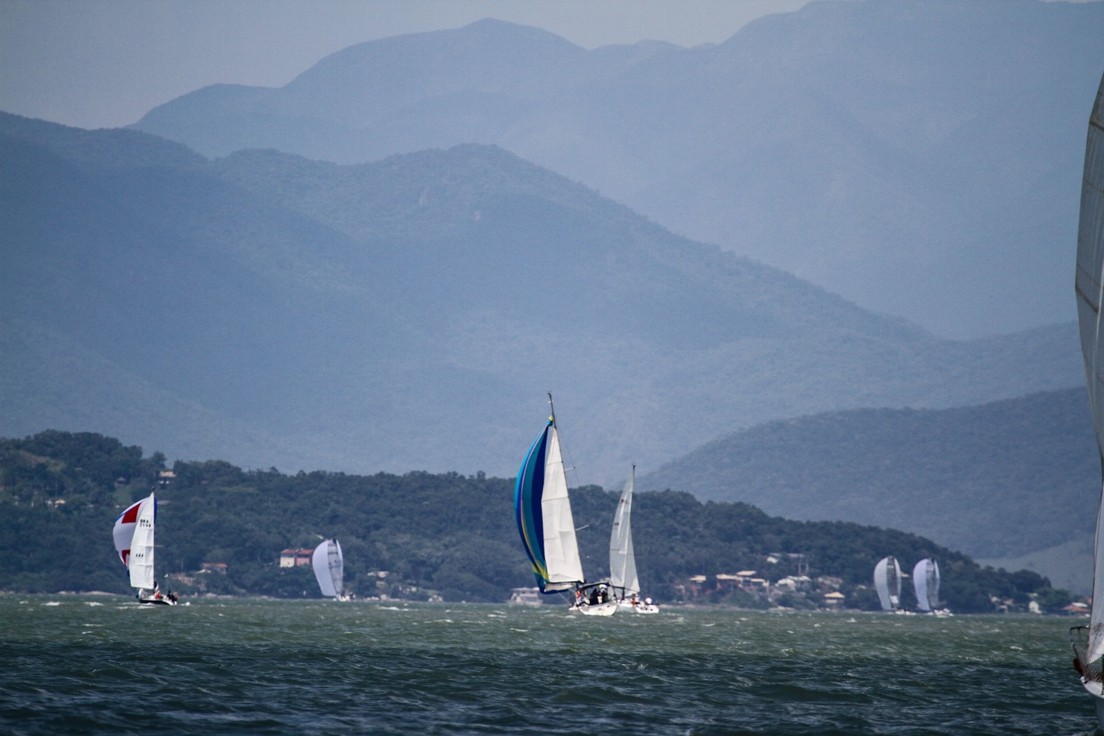 52ª Regata Volta à Ilha de Santa Catarina - boat shopping