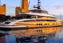 Dynamiq GTT 135 superiate dourado - boat shopping