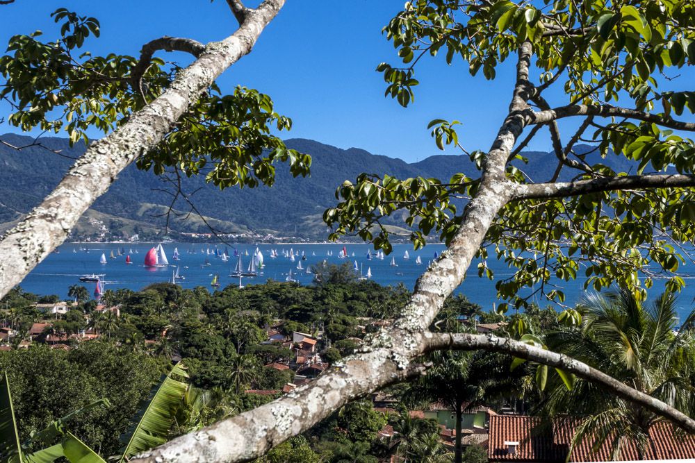 Ilhabela (Studio Borlenghi) - boat shopping